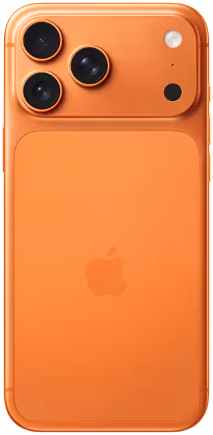 Back View