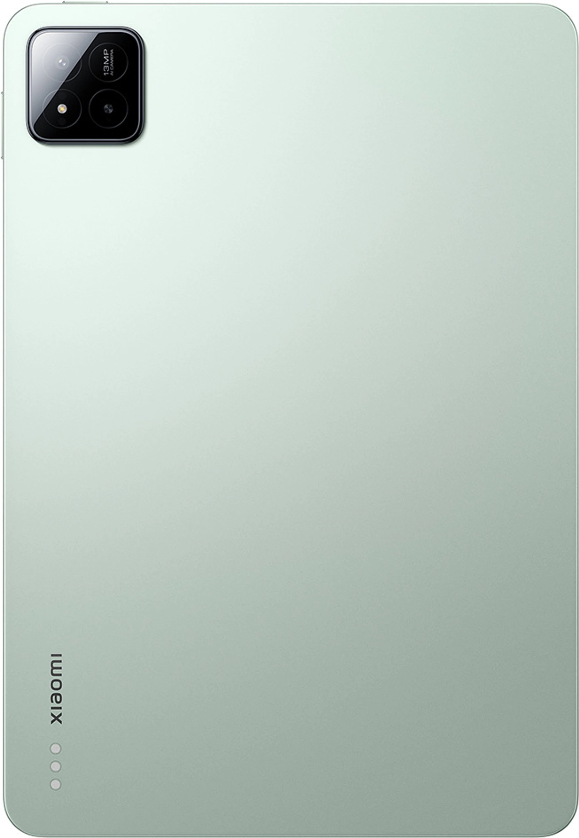 Back View